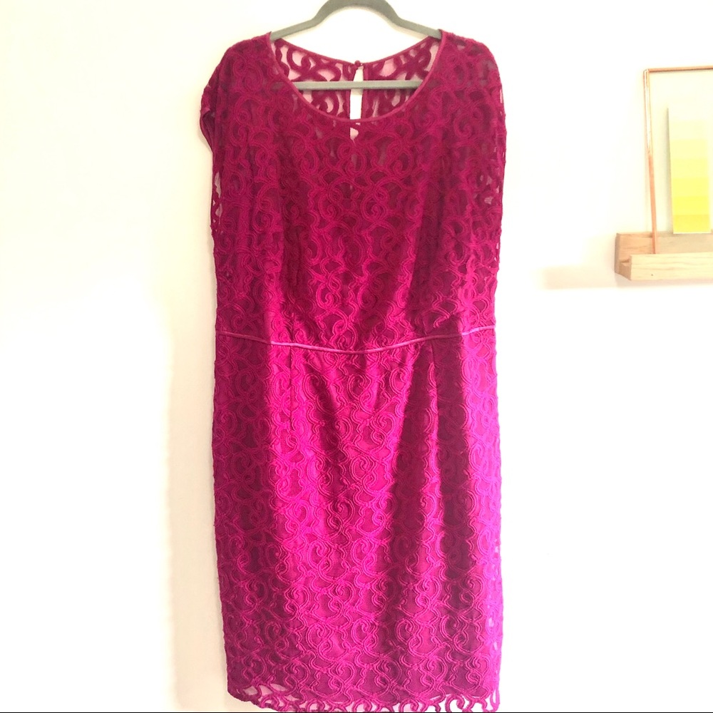 Roz & Ali Raspberry Lace Dress